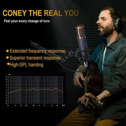TF39 Condenser Microphone 26mm / 34mm Large Diaphragm XLR Studio Recording Mic for Vocals Podcasting Streaming Home Studio