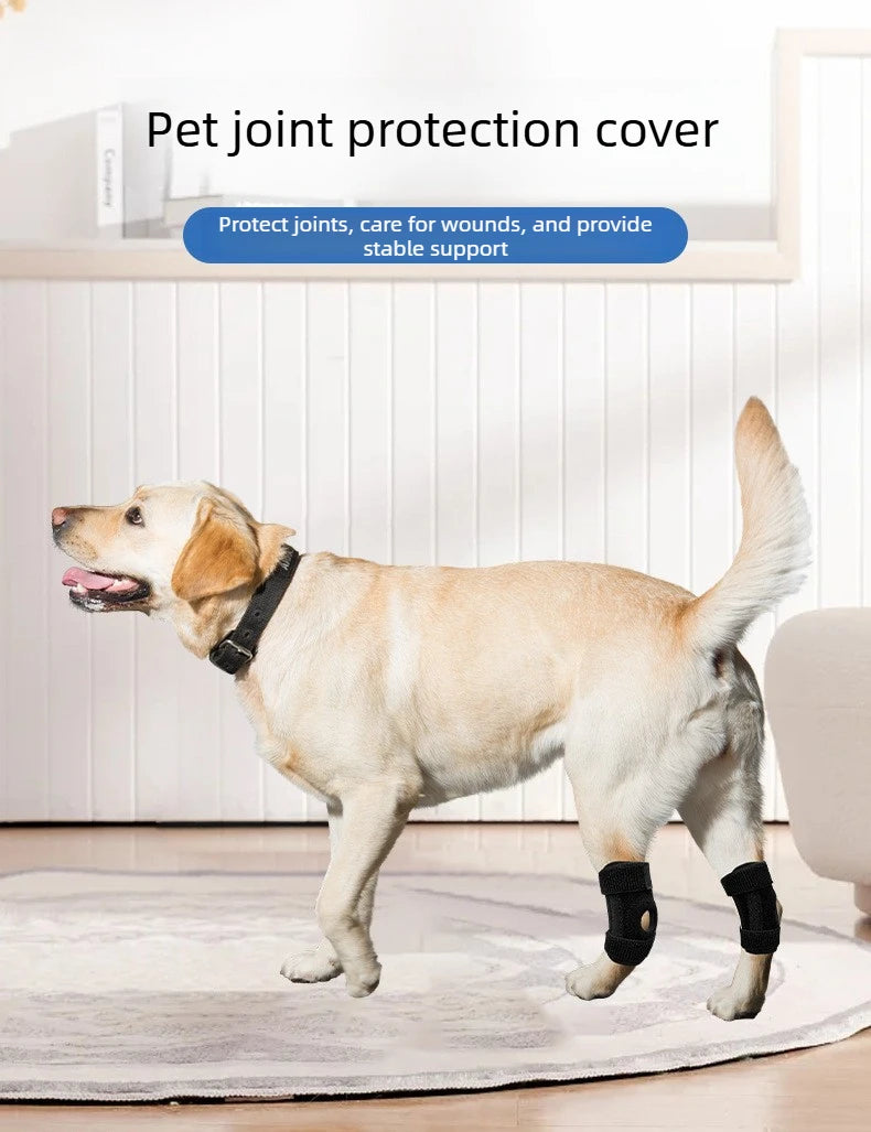 Dog Leg  Knee Patella Protection Joint Auxiliary Rehabilitation Ligament Joint Dislocation Pet Dirtproof Waterproof Rain Shoes