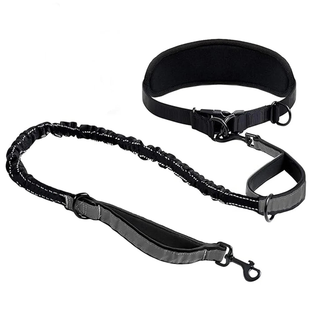 Hands-Free Hundkoppel med Midjerem & Ländryggsstöd – Reflexbungee, Justerbart, Svart