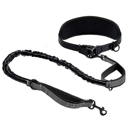 Hands-Free Hundkoppel med Midjerem & Ländryggsstöd – Reflexbungee, Justerbart, Svart