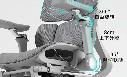 Ergonomic Lift Office Chair with Lumbar Support Household Gaming Esports Chair Household Computer Chair