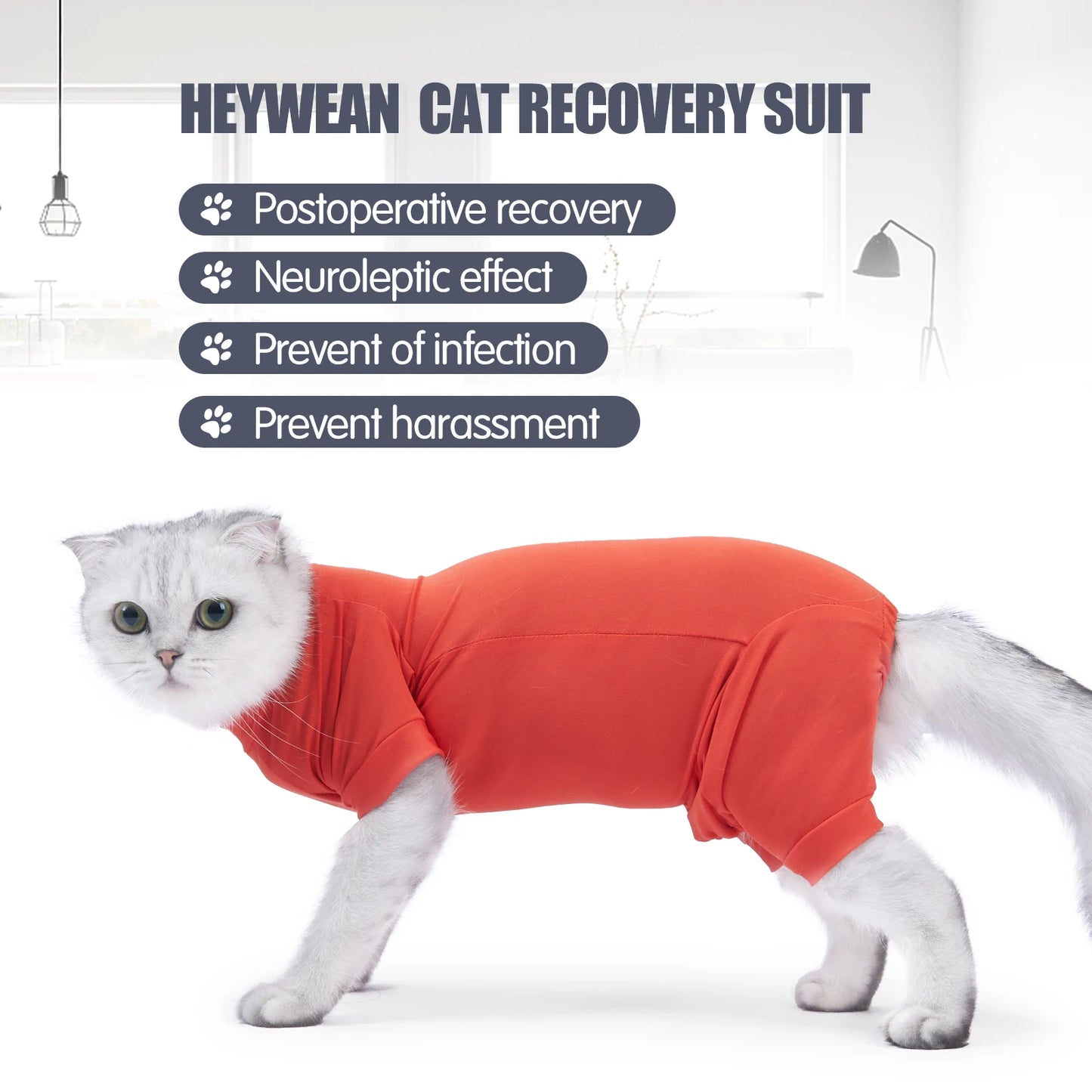 Pet Postoperative Clothes Cat Weaning Cotton Clothes Cat Surgery Recovery Suit Winter Warm Anti-licking Surgery After Recovery