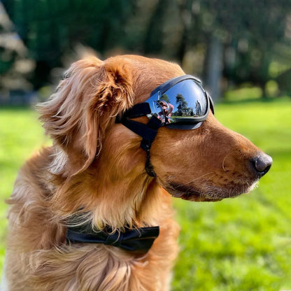 Transparent Color Pet Dog Goggles Waterproof Windproof Sunscreen UV Resistant Large Dog Glasses