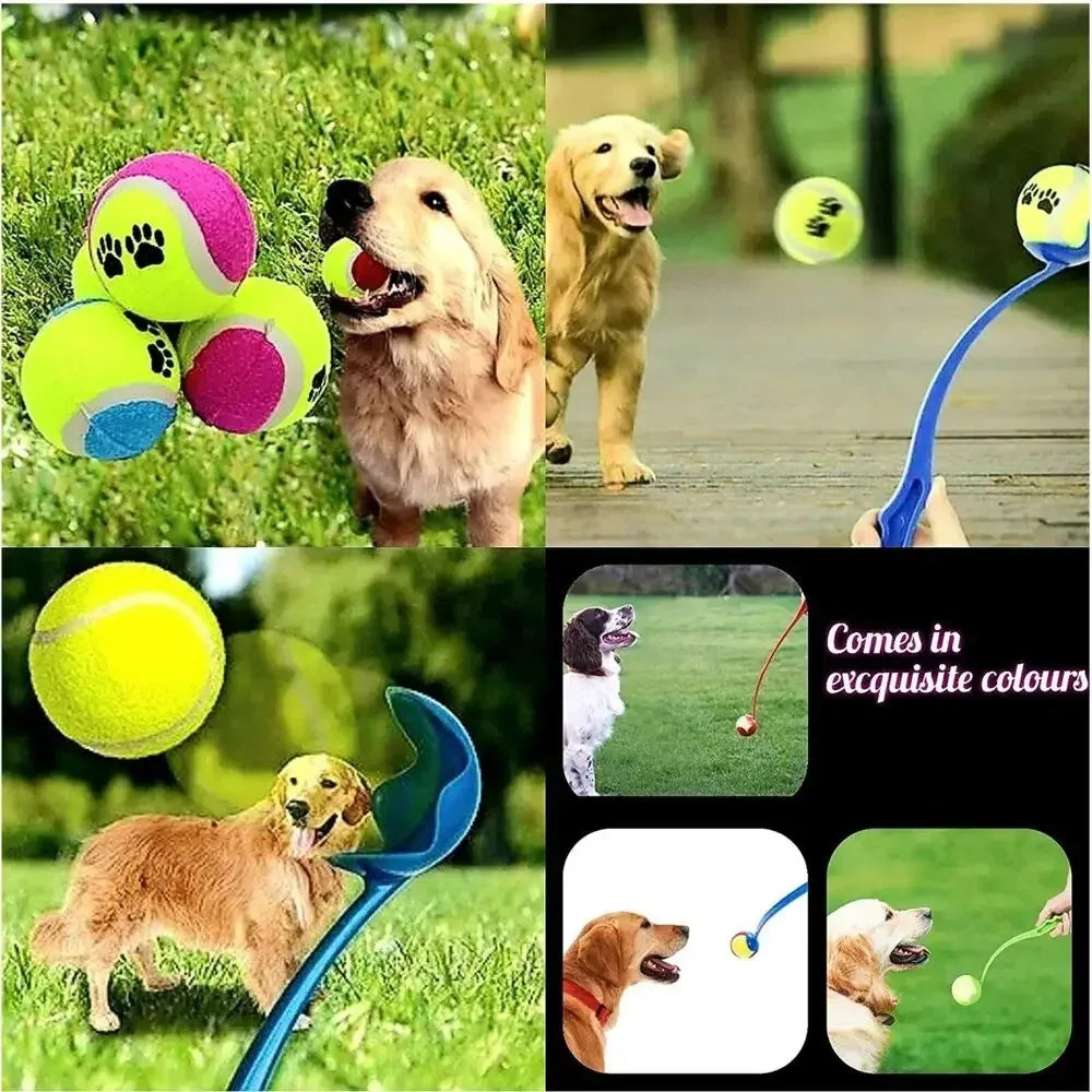 Bollkastare för hund 38 cm – med eller utan boll, slumpmässig färg