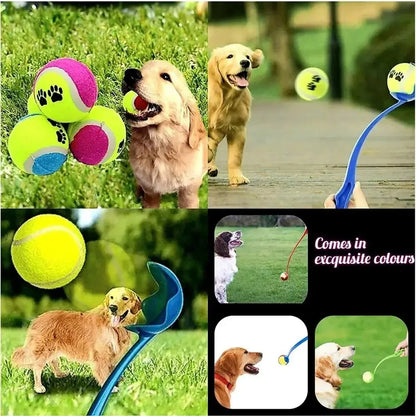 Bollkastare för hund 38 cm – med eller utan boll, slumpmässig färg