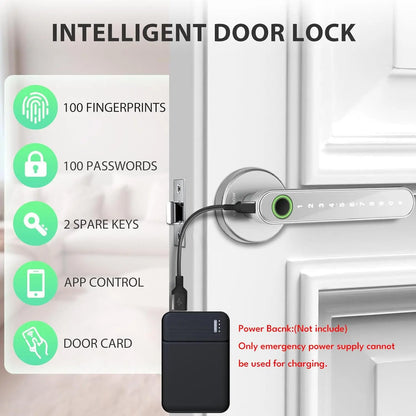 F3H smart dörrhandtag med fingeravtryck, kod och Tuya-app