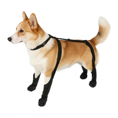 Dog Leg  Knee Patella Protection Joint Auxiliary Rehabilitation Ligament Joint Dislocation Pet Dirtproof Waterproof Rain Shoes