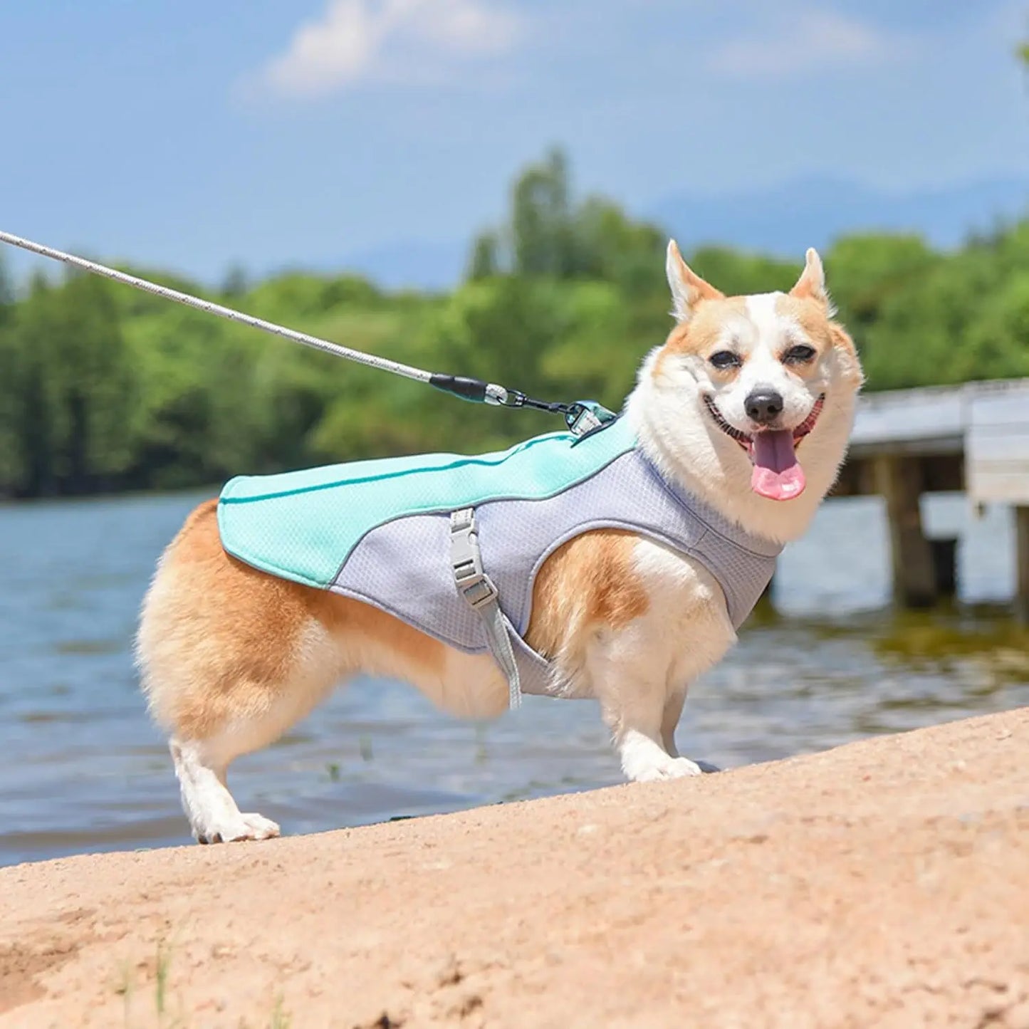 Summer Pet Dog Cooling Vest Heat Resistant Cool Dogs Clothes Breathable Sun-proof Clothing For Small Large Dogs Outdoor Walking
