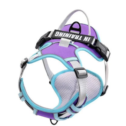Justerbar Hundsele med Personlig Text – Reflekterande & Andningsbar, S–XL