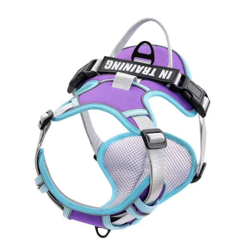 Justerbar Hundsele med Personlig Text – Reflekterande & Andningsbar, S–XL