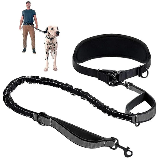Hands-Free Hundkoppel med Midjerem & Ländryggsstöd – Reflexbungee, Justerbart, Svart