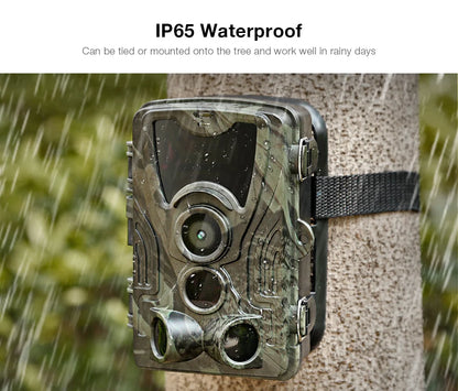 Suntekcam HC-801 Series APP Control 4G 20MP 1080P Hunting Trail Camera Wireless Wildlife Cameras 0.3S Trigger Night Vision