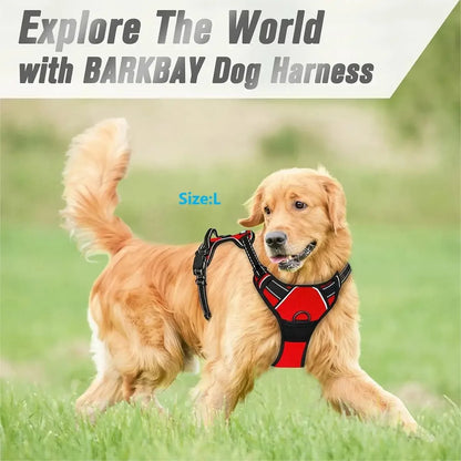 Hundsele & Halsband Set – Läder, S–XL, Svart/Grön/Röd/Blå/Rosa/Lila/Rosröd/Gul