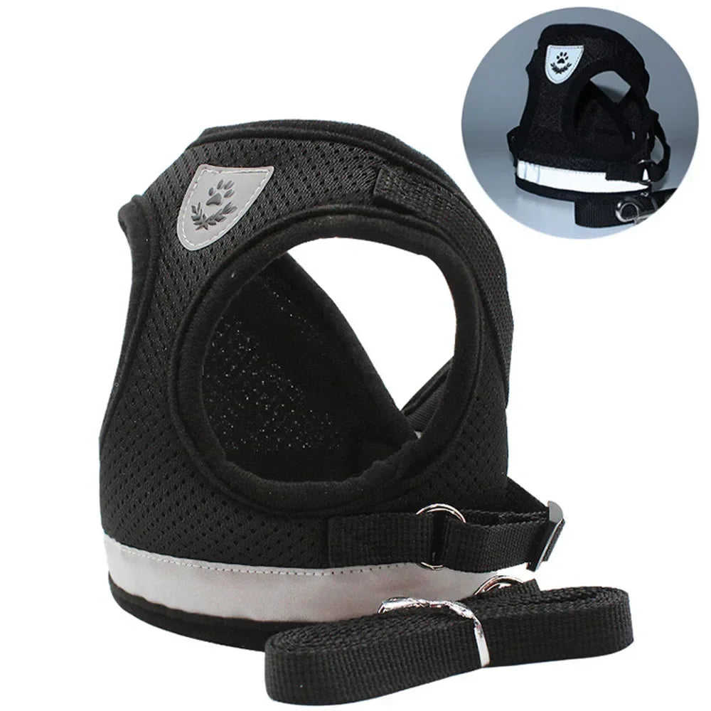 Sele- & Koppelset för Katt & Liten Hund – Justerbart, Reflekterande & Rymningssäkert