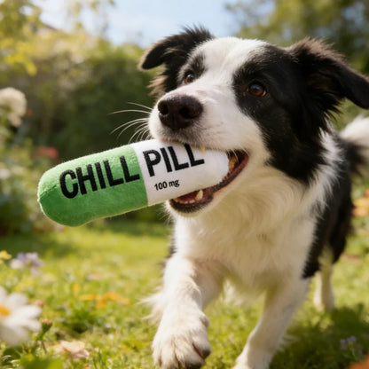 Pet Pill Indestructible Plush Capsule Dog Play Toy With Squeaker Safe Dog Tough Puppy Supplie Toys Resistant Dogs Tooth Chew Toy