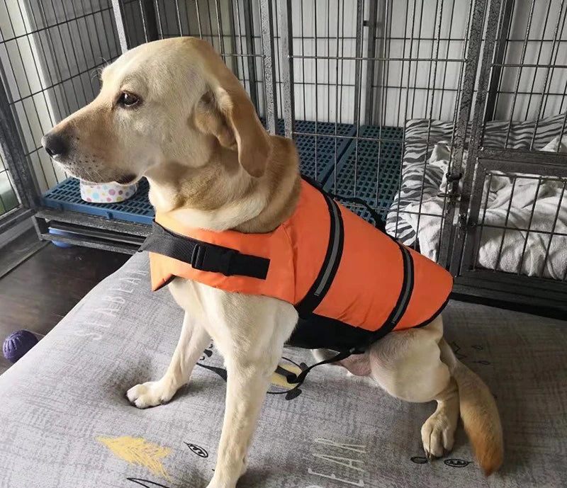 Safety Pet Dog Life Jacket for Dogs Summer French Bulldog Shih Tzu Swimwear Puppy Big Dog Clothing Vest Tshirt Zwemvest Hond