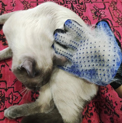 Pälsbortstagningshandske för Husdjur – Massage, Bad & Pälsvård, Katt & Hund