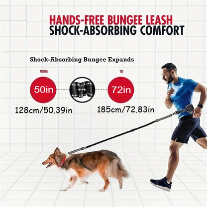 Hands-Free Hundkoppel med Midjerem & Ländryggsstöd – Reflexbungee, Justerbart, Svart