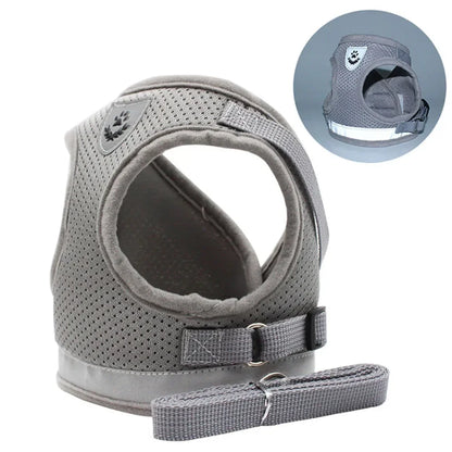 Sele- & Koppelset för Katt & Liten Hund – Justerbart, Reflekterande & Rymningssäkert