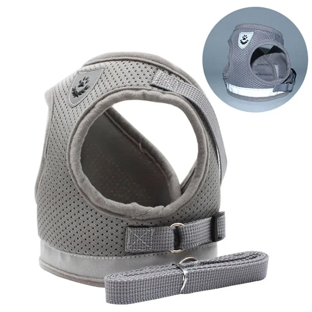 Sele- & Koppelset för Katt & Liten Hund – Justerbart, Reflekterande & Rymningssäkert