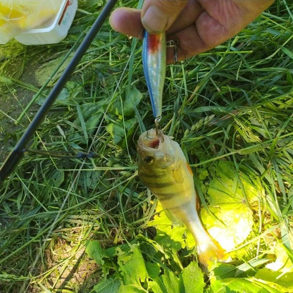 Minnow Crank Wobbler Jerkbait Fishing Lure 8.8Cm 9G Isca Artificial Carkbait Swimbait Tackle for Bass Pike Carp