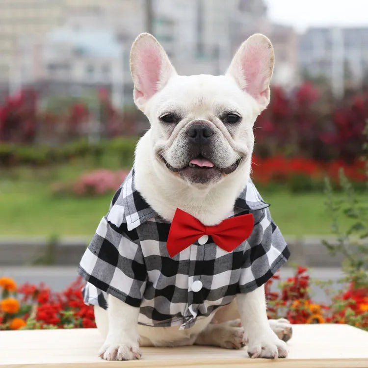 Pet Dog Clothes Plaid Shirt Suit Tie Gown Spring Summer Puppy Coat Teddy Bear Pomeranian Vest Small-Medium Dog Cat Pet Costume