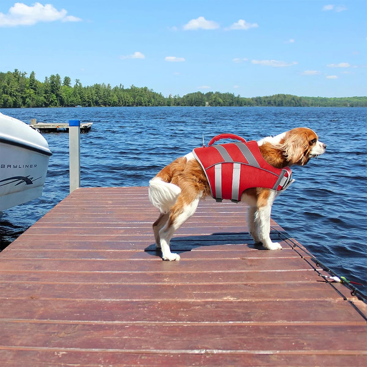 Ensure Your Dog's Water Adventures are Safe and Stylish: Premium Waterproof Dog Life Jacket with Reflective Stripes, Extra Stick