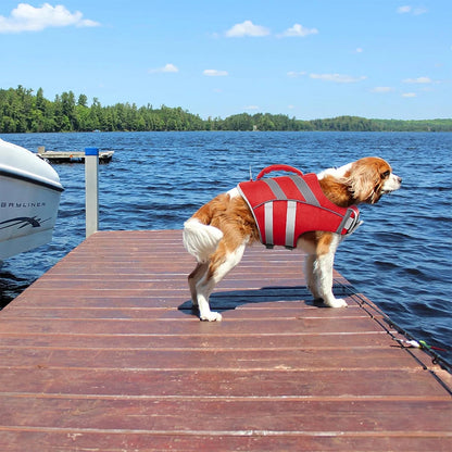 Ensure Your Dog's Water Adventures are Safe and Stylish: Premium Waterproof Dog Life Jacket with Reflective Stripes, Extra Stick