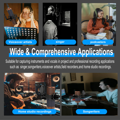 TF39 Condenser Microphone 26mm / 34mm Large Diaphragm XLR Studio Recording Mic for Vocals Podcasting Streaming Home Studio