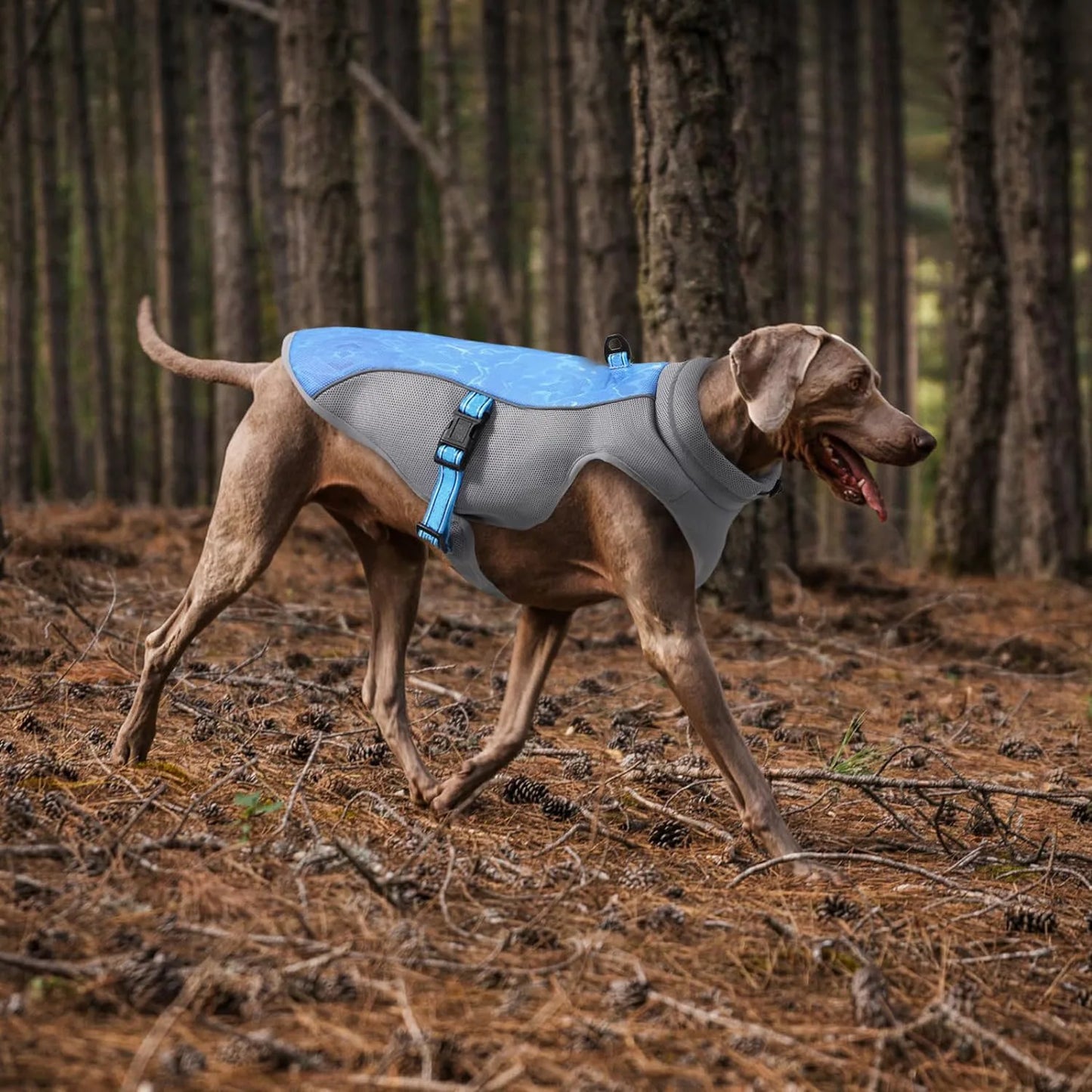 Summer Pet Dog Cooling Vest Heat Resistant Cool Dogs Clothes Breathable Sun-proof Clothing For Small Large Dogs Outdoor Walking
