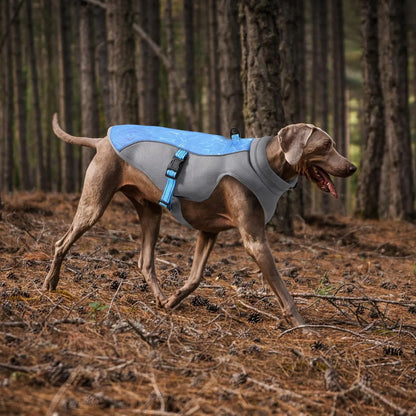 Summer Pet Dog Cooling Vest Heat Resistant Cool Dogs Clothes Breathable Sun-proof Clothing For Small Large Dogs Outdoor Walking