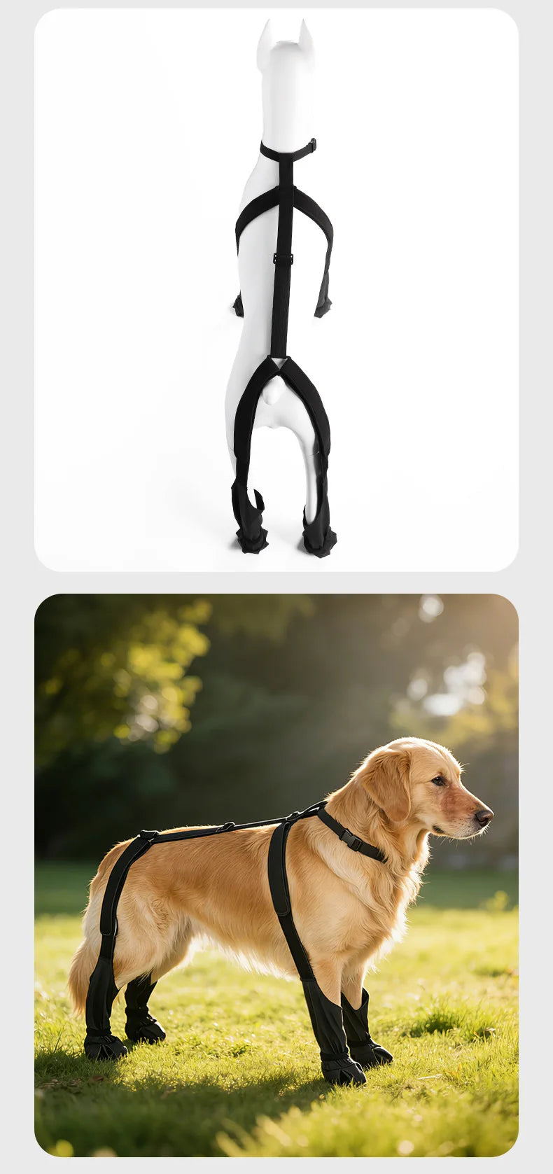 Dog Leg  Knee Patella Protection Joint Auxiliary Rehabilitation Ligament Joint Dislocation Pet Dirtproof Waterproof Rain Shoes