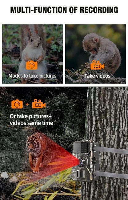 Hunting Camera Wild Infrared Night Vision Outdoor Motion Trail Game Cam Activated Tracking Photo Trap Cam Wild Surveillance