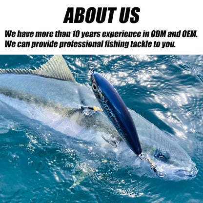 B&U Sinking Sea Fishing Minnow Lure  Long Cast Hard Bait with Sharp Treble Hooks, Saltwater Lures for Sea Bass Pike