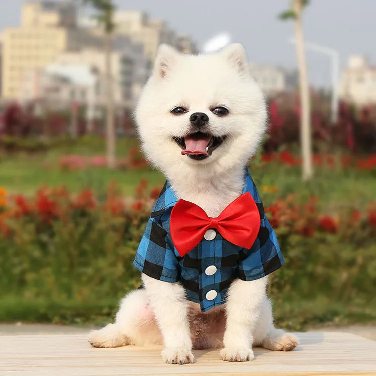 Pet Dog Clothes Plaid Shirt Suit Tie Gown Spring Summer Puppy Coat Teddy Bear Pomeranian Vest Small-Medium Dog Cat Pet Costume