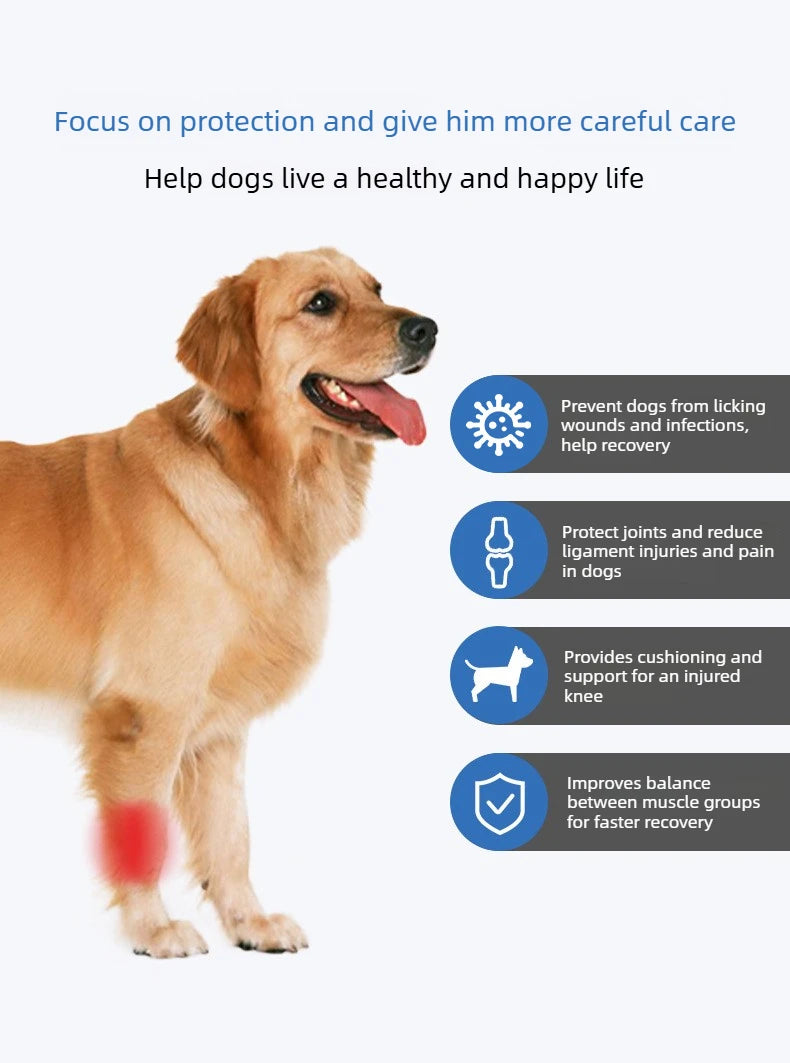 Dog Leg  Knee Patella Protection Joint Auxiliary Rehabilitation Ligament Joint Dislocation Pet Dirtproof Waterproof Rain Shoes