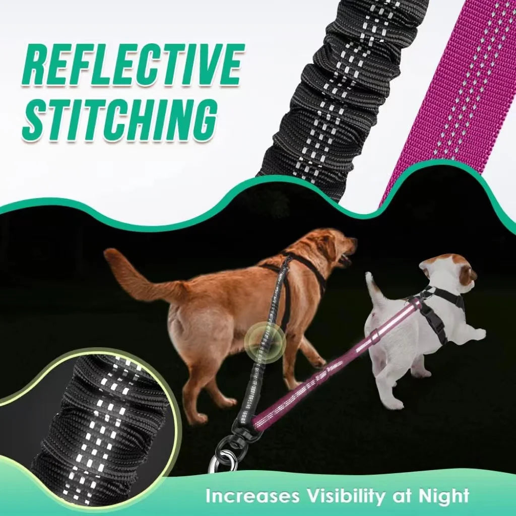 Dubbelt Hundkoppel med Bungee – Justerbar Antidrag-delare för 2 Hundar, Small–Large