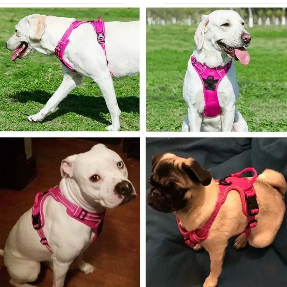 Reflexsele & Andningsbar Hundsele – Justerbar Väst för Små, Medelstora & Stora Hundar, S–XL