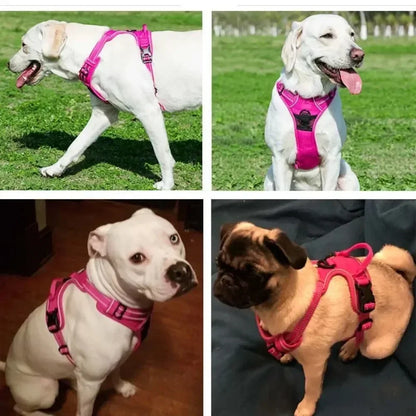 Reflexsele & Andningsbar Hundsele – Justerbar Väst för Små, Medelstora & Stora Hundar, S–XL