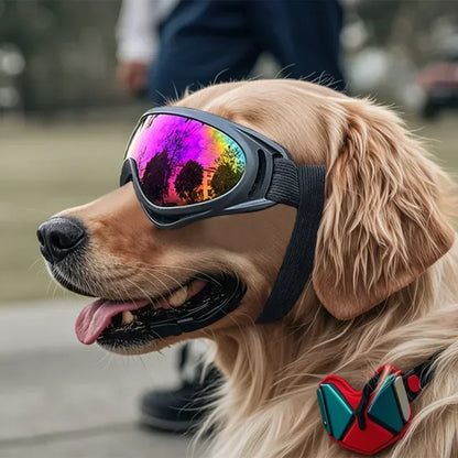 Pet Dog Goggles UV Sunglasses Windproof Snowproof Eye Protection Glasses for Small Medium Large Dogs Cat Universal    Dog Stuff