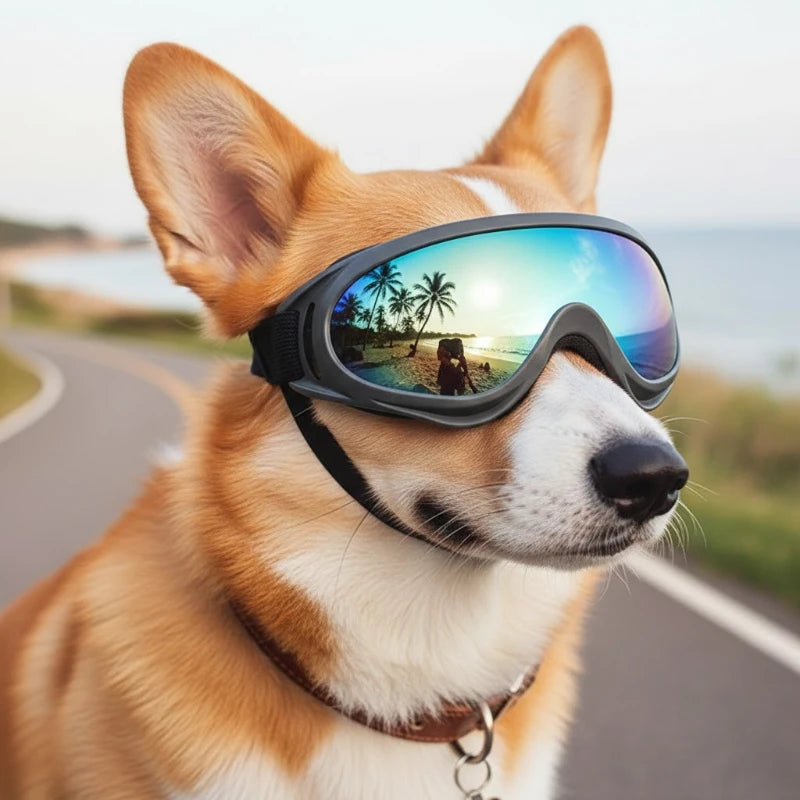 Pet Dog Goggles UV Sunglasses Windproof Snowproof Eye Protection Glasses for Small Medium Large Dogs Cat Universal    Dog Stuff