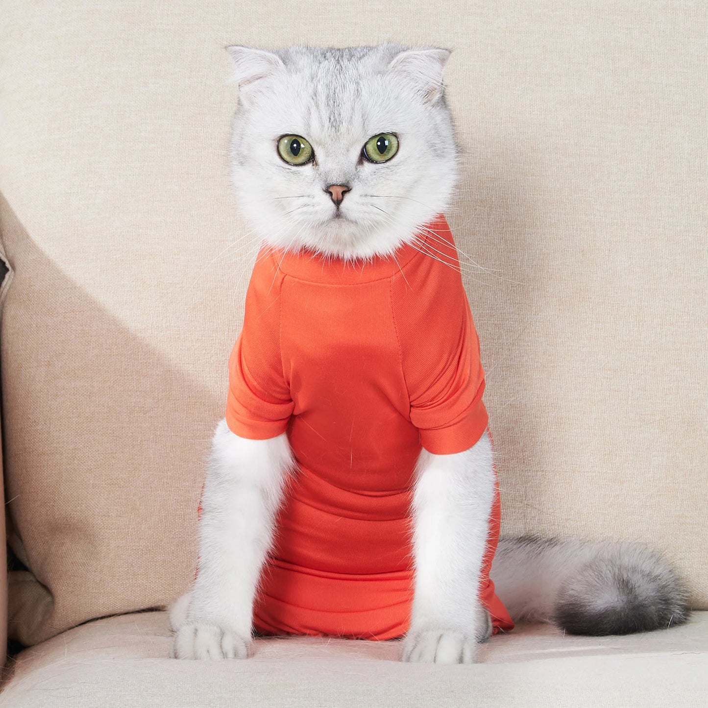Pet Postoperative Clothes Cat Weaning Cotton Clothes Cat Surgery Recovery Suit Winter Warm Anti-licking Surgery After Recovery