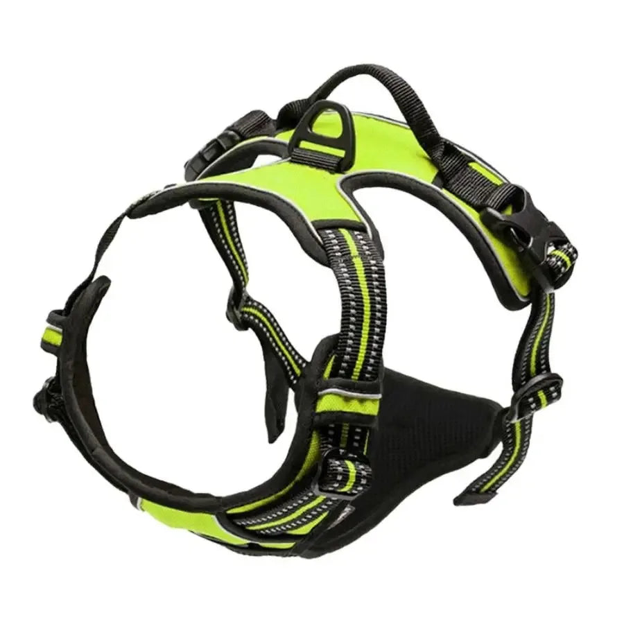 Hundsele & Halsband Set – Läder, S–XL, Svart/Grön/Röd/Blå/Rosa/Lila/Rosröd/Gul
