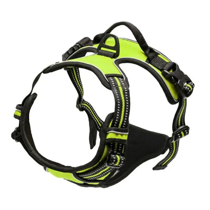 Hundsele & Halsband Set – Läder, S–XL, Svart/Grön/Röd/Blå/Rosa/Lila/Rosröd/Gul