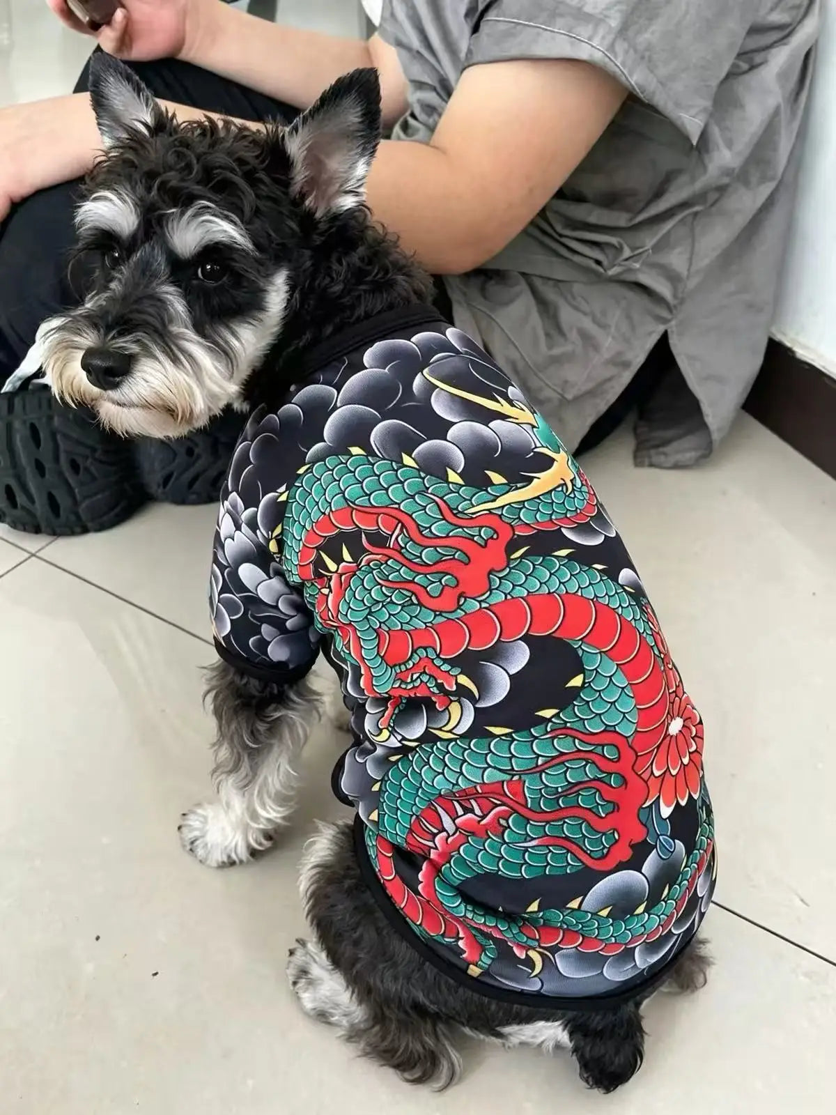 Streetwear Pet Tattoo Suit 4-Way Stretch Full Body Clothes S-10XL Comfortable Dog Cat Costume for Small to Large Pets