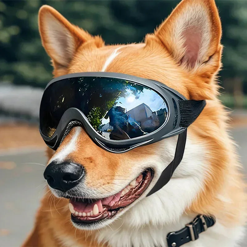 Pet Dog Goggles UV Sunglasses Windproof Snowproof Eye Protection Glasses for Small Medium Large Dogs Cat Universal    Dog Stuff