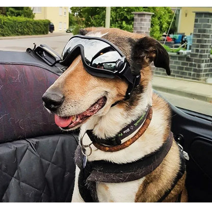 Transparent Color Pet Dog Goggles Waterproof Windproof Sunscreen UV Resistant Large Dog Glasses