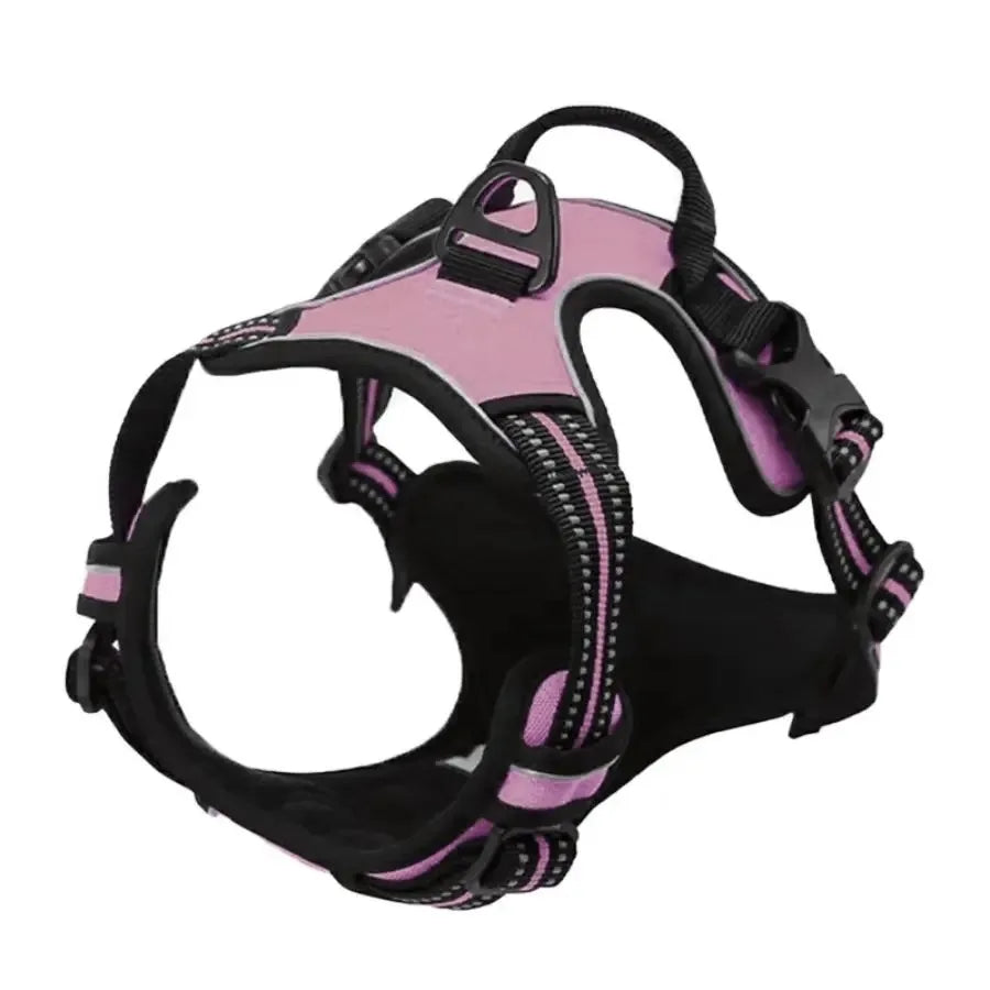Hundsele & Halsband Set – Läder, S–XL, Svart/Grön/Röd/Blå/Rosa/Lila/Rosröd/Gul