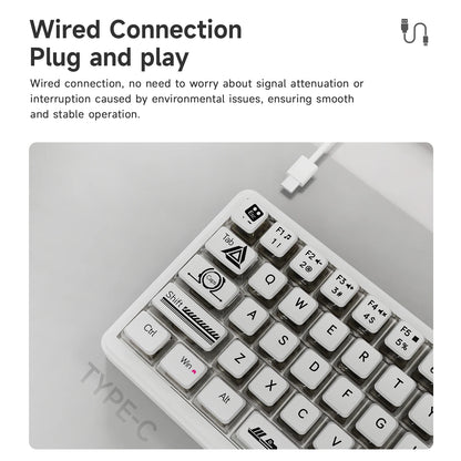 AJAZZ AK690 mekaniskt USB-tangentbord med 68 tangenter – engelsk layout
