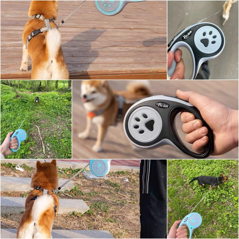 Hundkoppel med Tassdesign 3–5 m – Stark Nylon för Små & Medelstora Hundar, Grön/Svart/Himmelsblå/Rosa